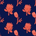 King protea hand drawn with outline graphic design vector